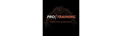PRO Training
